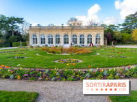 Le Parc de Bagatelle au printemps, cerisier, tulipes et jonquilles - photos