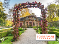 Le Parc de Bagatelle au printemps, cerisier, tulipes et jonquilles - photos - A7C00854