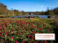 Les tulipes du Château de Dampierre, son jardin anglais et le jardin Le Nôtre - IMG 2850