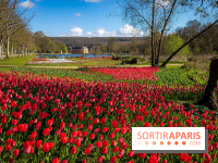 Les tulipes du Château de Dampierre, son jardin anglais et le jardin Le Nôtre