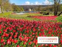 Les tulipes du Château de Dampierre, son jardin anglais et le jardin Le Nôtre