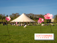 Hanami au Parc de Sceaux 2026, les cerisiers en fleurs et ses  animations - A7C01621