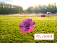 Hanami au Parc de Sceaux 2026, les cerisiers en fleurs et ses  animations