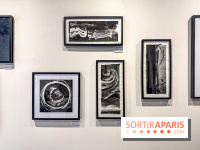 Fantôme à la galerie La Lison : exposition Avant les cendres - IMG 6198