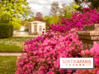 Parc et Jardins du Château de Fontainebleau - les photos  - A7C04486