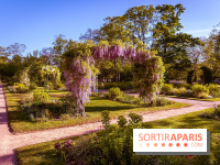 Le Parc des Ibis au Vésinet dans les Yvelines en Région Parisienne - photos  - A7200441