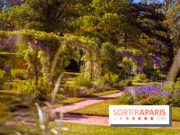 Le Parc des Ibis au Vésinet dans les Yvelines en Région Parisienne - photos  - A7200695 2