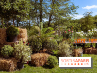 Fête des Plantes au Château de Dampierre dans les Yvelines - photos