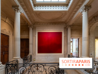 La Maison Guimet (Hôtel d'Heidelbach) - les photos