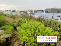 L'aromathèque Persépolis, sur le toit de la bourse du travail à Saint-Denis - nos photos