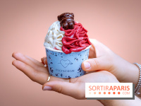 Le comptoir à glaces de Pleincœur et ses coupes glacées - photos