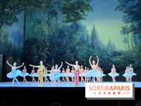La Bayadère de Noureev à l'Opéra Bastille