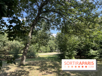 Le parc de la Cité Universitaire, espace vert unique au monde - nos photos