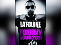 fouine