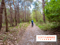 Liaisons douces à Fontainebleau : la forêt à vélo, les photos