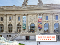 Exposition Cezanne et nous au Grand Palais
