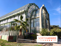 Automne tropical 2026