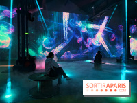 Plongez à la découverte de Planète Océan, l’exposition immersive de l’Atelier des Lumières