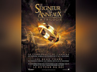 le seigneur des anneaux