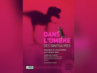 l'ombre des dinosaures
