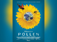 Pollen, Cinéma, Disney
