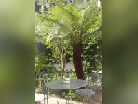 Hôtel renaissance, le parc  Trocadéro, Mariott, Jean-Philippe Nuel, 16ème arrondissement, 5 étoiles