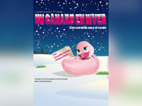 canard en hiver
