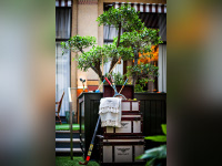 L'english Garden du Prince de Galles by Bentley