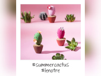 La tendance est au cactus chez Lenôtre