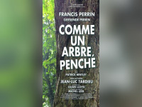 comme un arbre penché