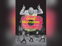 Don Quichotte du Trocadéro de Montalvo à Chaillot