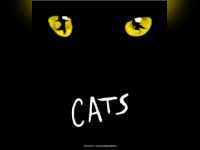 cats mogador