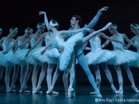 Le Lac des Cygnes à l'Opéra Bastille : notre critique