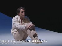 les cahiers de nijinski