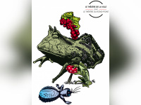 la grenouille avait raison