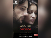 scènes de la vie conjugale