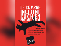 Le Bizarre incident du chien pendant la nuit 