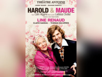 harold & maude