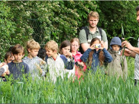 Animations Nature 2014