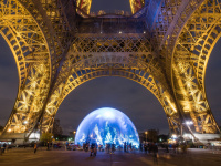 forêt de sapins sous la Tour Eiffel