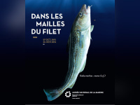 Dans les mailles du filet, l'expo au Musée de la Marine