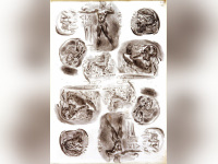 Delacroix et l'antique, l'exposition au Musée Delacroix