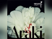 Nobuyoshi Araki au musée Guimet