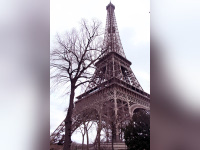 Tour Eiffel