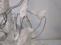 D'un Picasso à l'autre, le spectacle enfant au Musée Picasso