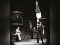 The Elephant in the Room par le Cirque le Roux