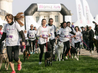 Wamiz Run 2018, la course avec nos chiens au Bois de Vincennes