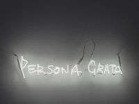 Persona Grata, l'expo-événement au Musée de l'histoire de l’immigration