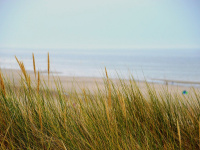 Hauts-de-France : la liste des plages ouvertes ce week-end des 16 et 17 mai