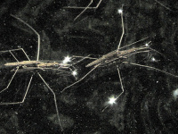 Nuit Blanche 2020 au Musée Bourdelle